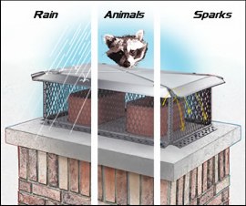 Chimney Caps keep Animals Out - Chimney Concepts