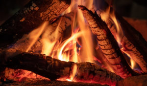 picture of fire and logs